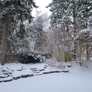 Meet your Posher, Susie